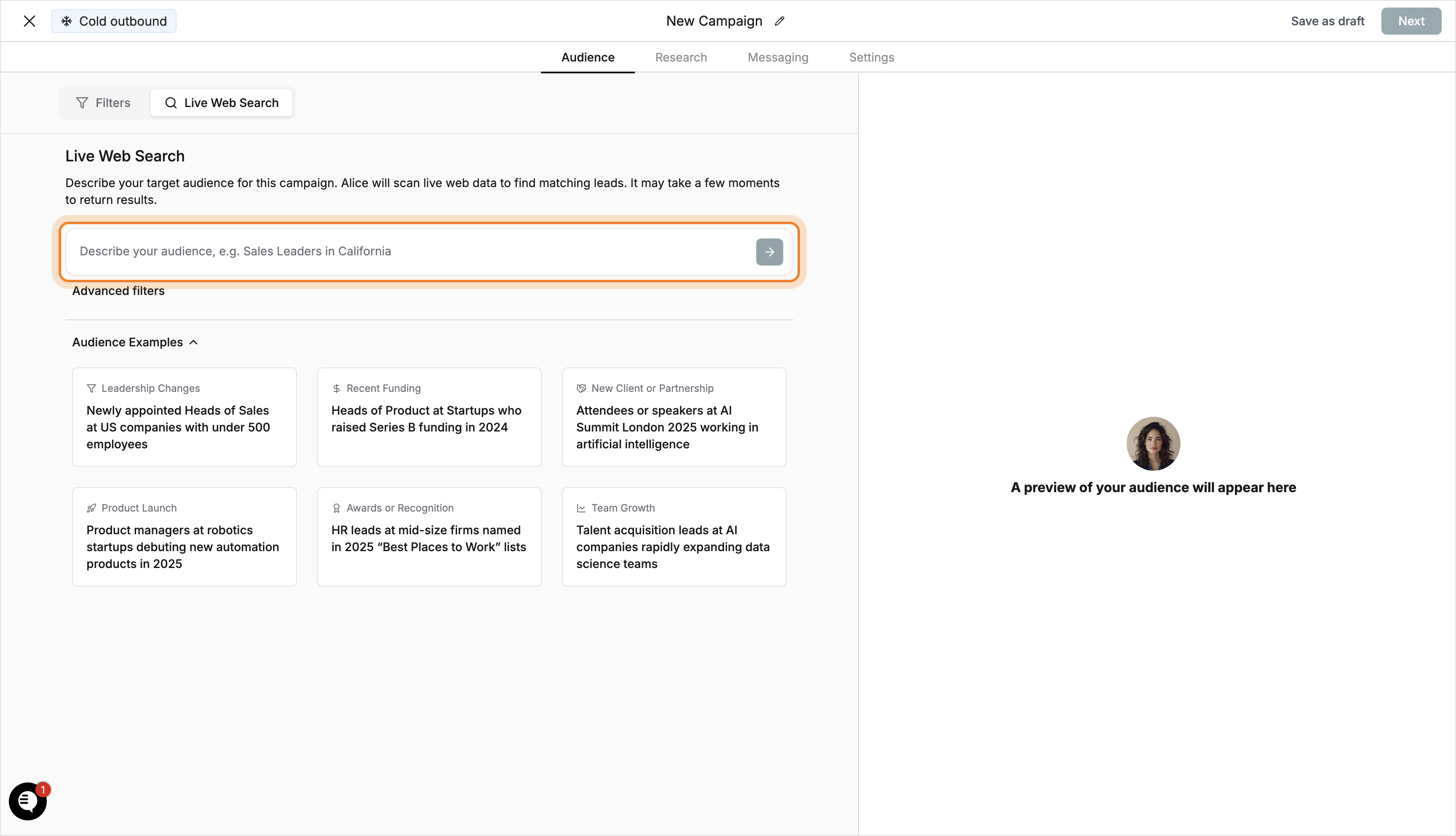 Input field for audience description highlighted