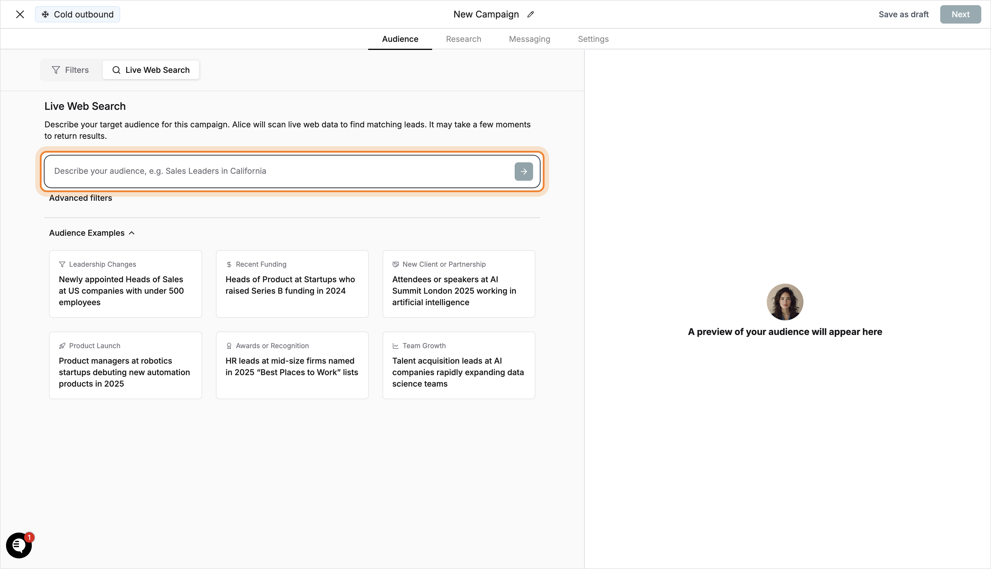 Audience description entered in input field